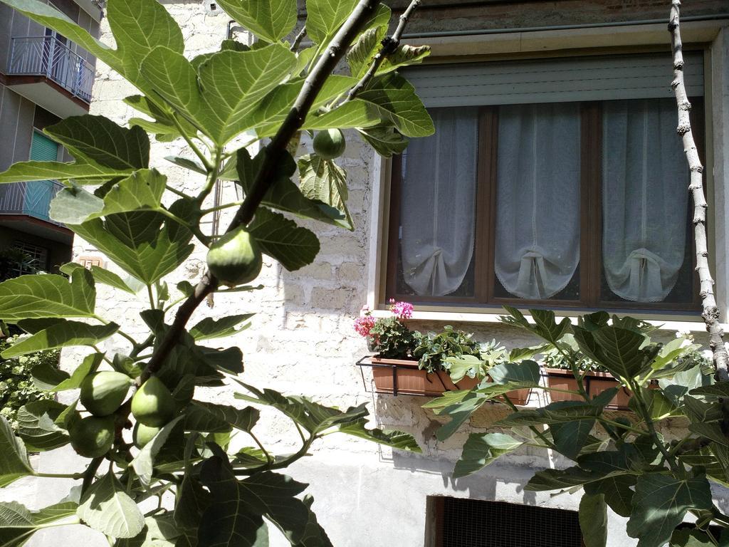 B&B A Casa Di Nonna 폰디 외부 사진