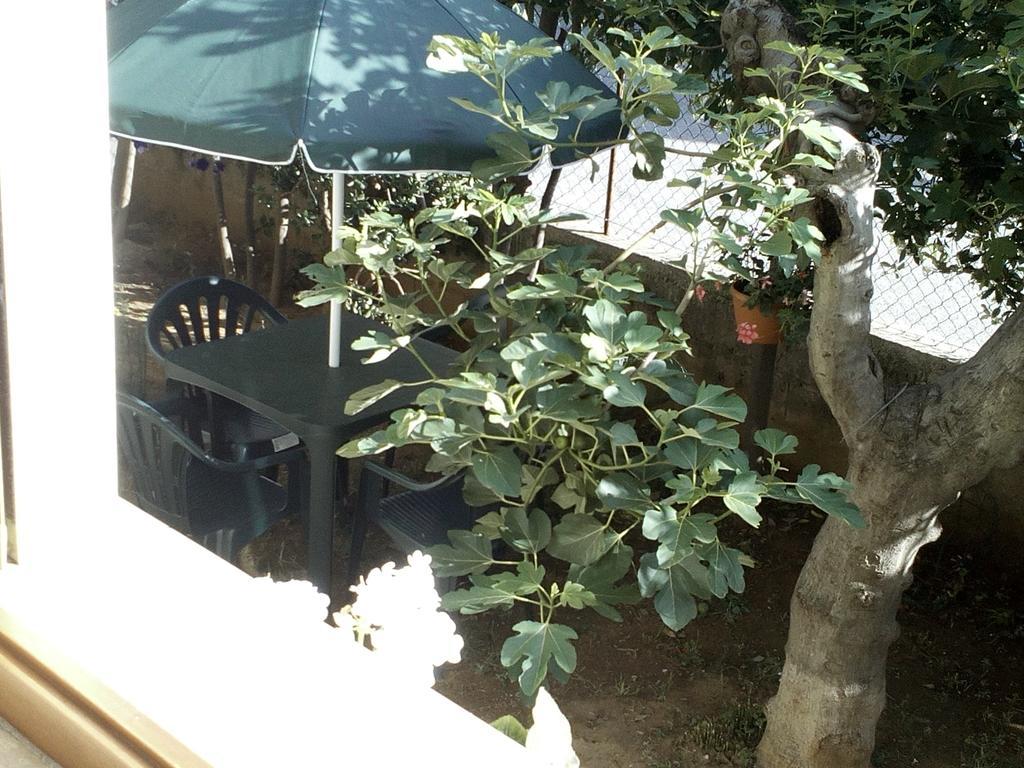 B&B A Casa Di Nonna 폰디 외부 사진